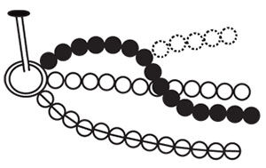 Diagram of beaded strands being braided